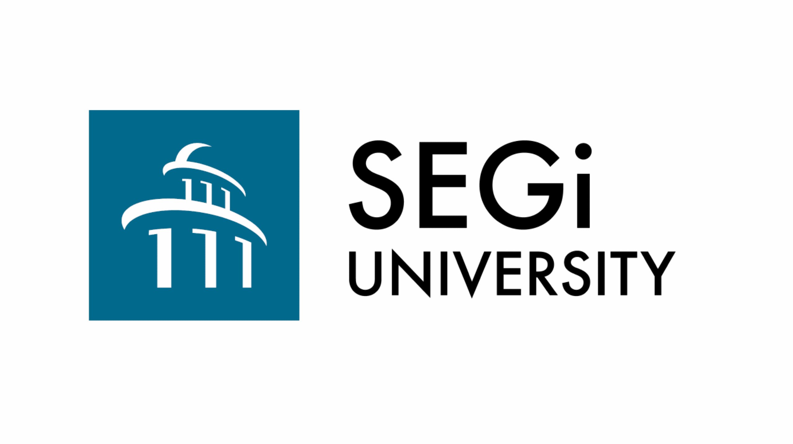 Segi University